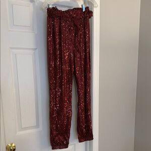 Sequin Burgundy Pants